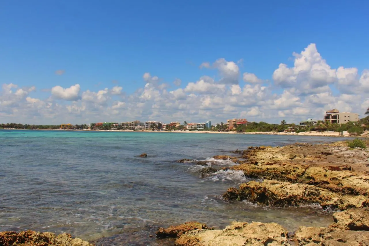 Beautiful Studio In Akumal Paradise - Wifi, Ac