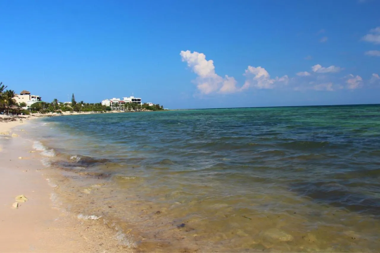 Apartment Beautiful Studio In Akumal Paradise - Wifi, Ac