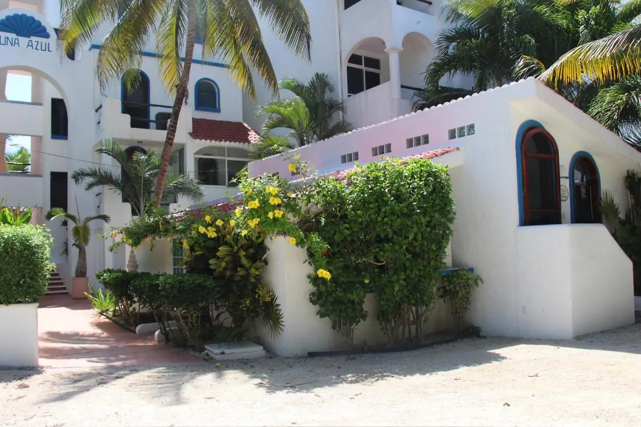 Apartment Beautiful Studio In Akumal Paradise - Wifi, Ac